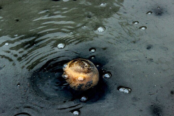 Private Full-Day 4x4 Tour to Furnas Volcano - FAQs