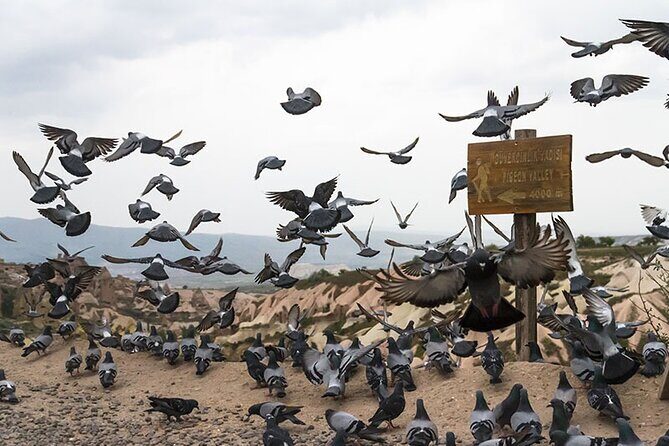 Private Full-Day Cappadocia Tour - The Sum Up