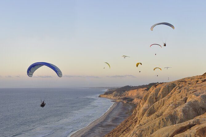 Private Full Day Coastal Tour from San Diego with private driver/guide - The Experience in Practice