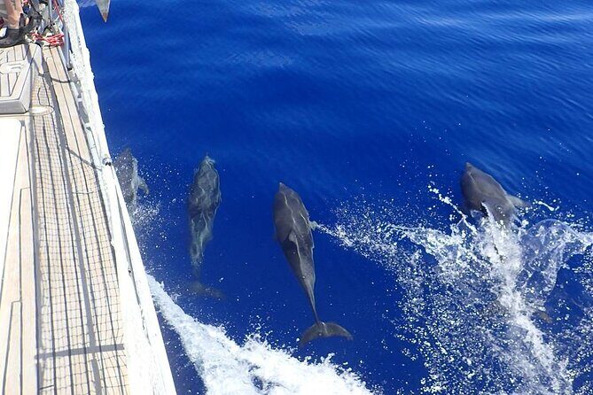 Private Full Day Cruise Tour in Naxos Town - A Close Look at the Private Full Day Cruise Tour in Naxos Town