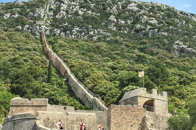 Private Full-day Dubrovnik and Ston Tour from Split - Key Points