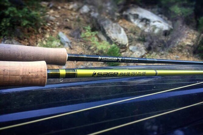 Private Full Day Fly Fishing For Beginners and Experienced Anglers - An In-Depth Look at the Yosemite Fly Fishing Tour