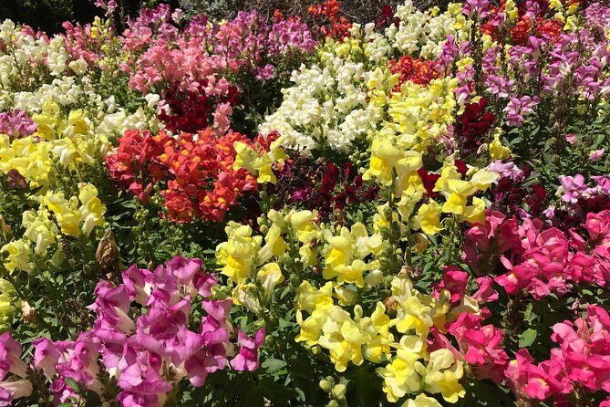 Private Full-Day Girona GOT and Costa Brava Tour - FAQs