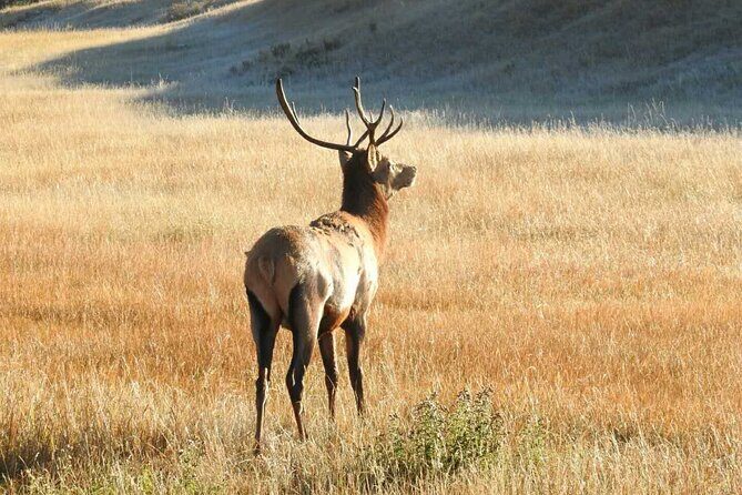Private Full Day Guided Tour at Banff Iconic Attraction - Who Should Consider This Tour?