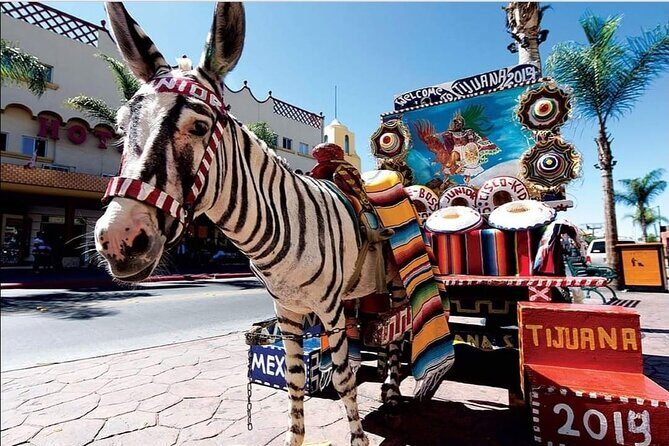 Private Full-Day Guided Tour of Tijuana - Real Traveler Feedback: What People Are Saying