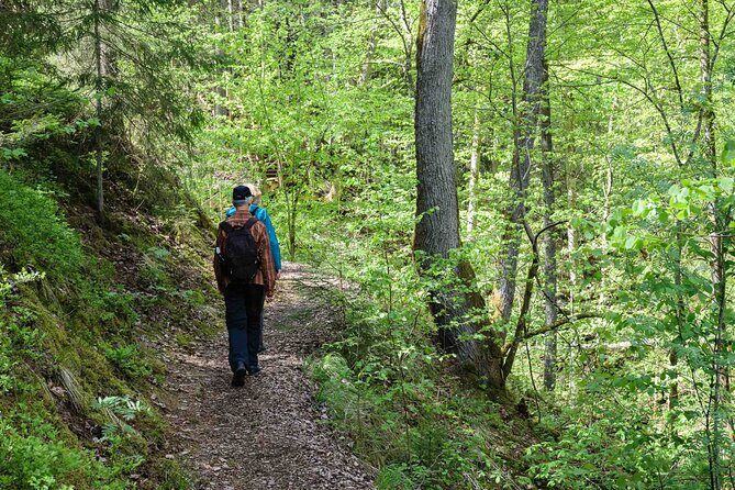 Private Full-Day Hiking Tour in Sigulda and Gauja National Park - Exploring the Private Full-Day Hiking Tour in Sigulda and Gauja National Park