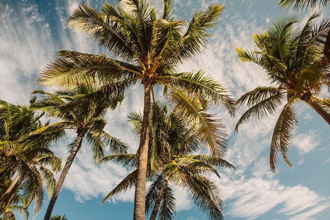 Private Full-Day Lagoon Adventure in Bora Bora with BBQ Lunch - Potential Drawbacks or Considerations