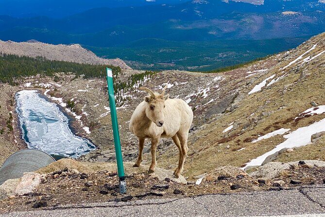 Private Full-Day Mount Blue Sky & Red Rocks Tour from Denver - The highlight: Mount Blue Sky Scenic Byway