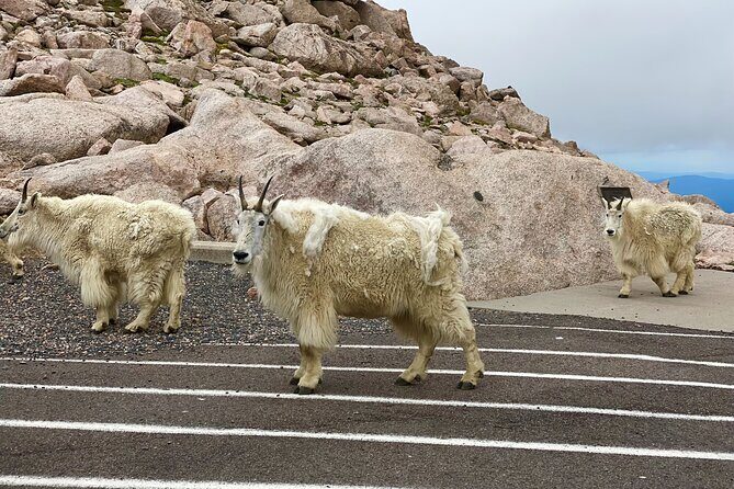 Private Full-Day Mount Blue Sky & Red Rocks Tour from Denver - Pricing and value