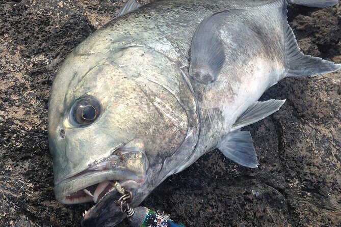 Private Full Day of GT Fishing - What’s Included and What to Expect