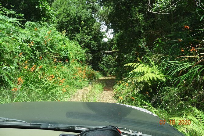 Private Full Day Off-Road Tour in Madeira - Who Is This Tour Best For?