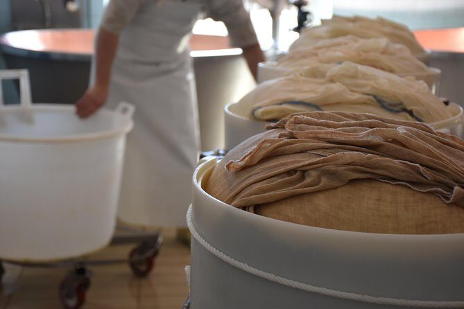 Private Full Day Parma Food Tour: Parmesan Cheese, Parma Ham, Lunch, Vinegar - Final Thoughts