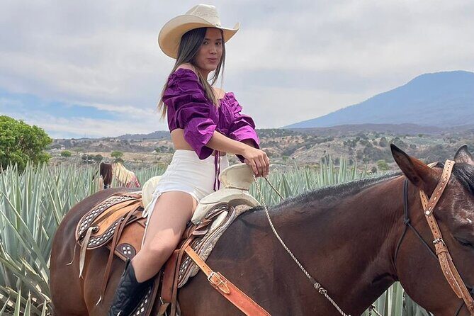 Private Full-Day Ruta del Tequila Tour: Safe & Expert-Guided - Authentic Experiences and Honest Reflections