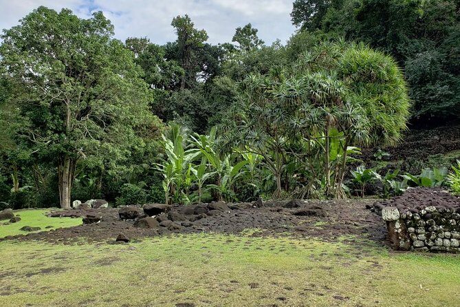 Private Full-Day Tahiti  Grotto, Gardens & Panoramas - Exploring Tahiti in Style and Comfort