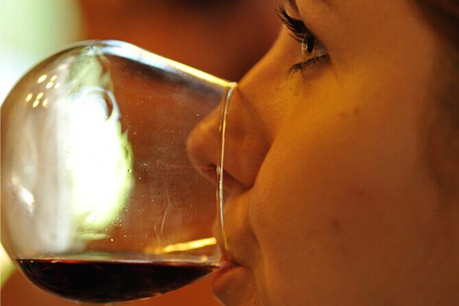 Private Full Day Tour Burgundy Gourmet - Why Choose the Private Burgundy Gourmet Tour?