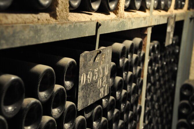Private Full Day Tour Burgundy Gourmet - The Experience’s Downsides