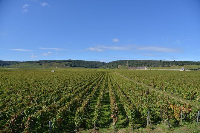 Private Full Day Tour Burgundy Gourmet - Final Thoughts