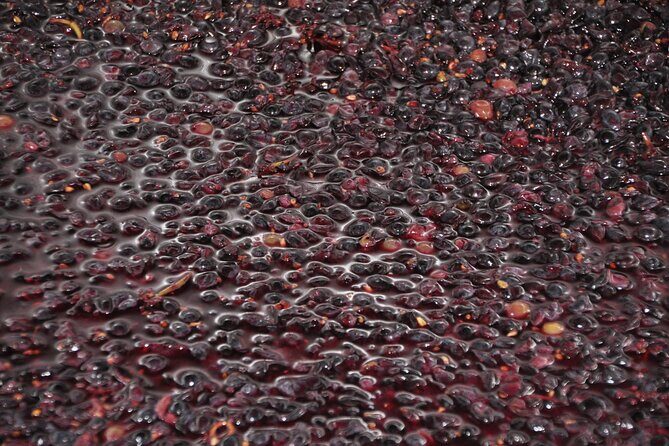 Private Full Day Tour Burgundy Gourmet - FAQs