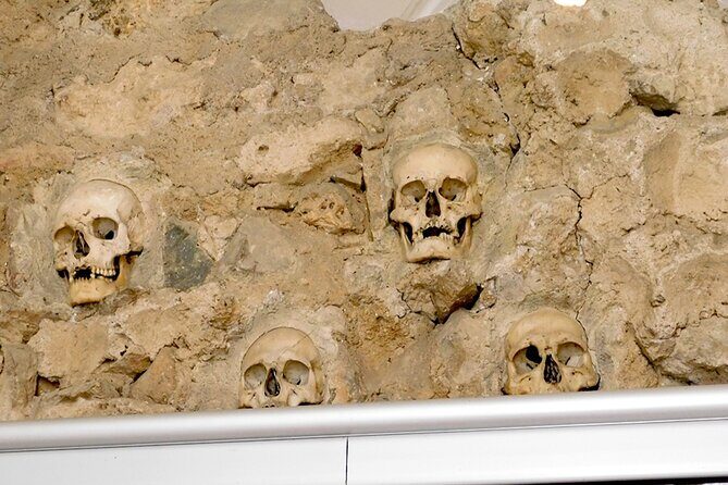 Private Full Day Tour From Belgrade in City of Ni - Key Points