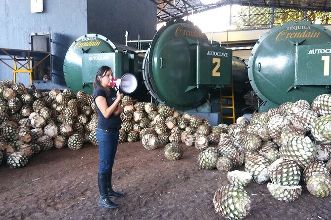 Private Full Day Tour in Guachimontones and Orendain Tequila - A Detailed Look at the Tour Experience