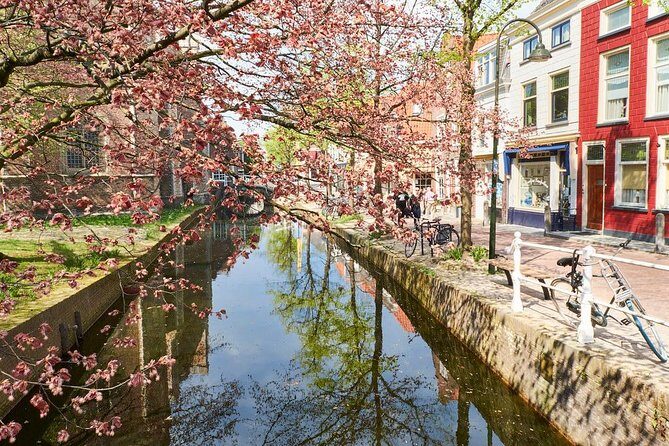 Private full-day tour of Delft and Rotterdam from Amsterdam - FAQ