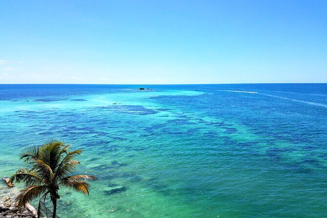 Private Full-Day Tour of Florida Keys from Miami/FLL to Key West - Exploring the Florida Keys in a Day: An Honest Look at the Private Full-Day Tour from Miami