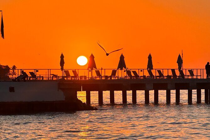 Private Full-Day Tour of Florida Keys from Miami/FLL to Key West - Who Should Consider This Tour?