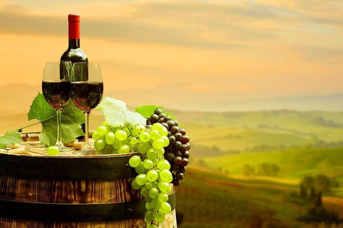 PRIVATE Full-Day Tour of Pisa, San Gimignano and Siena from Florence - Who Is This Tour Best For?