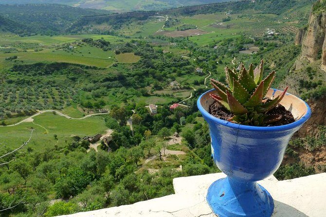 Private Full-Day Tour of Ronda from Malaga with Hotel pick up and drop off - Who Should Consider This Tour?