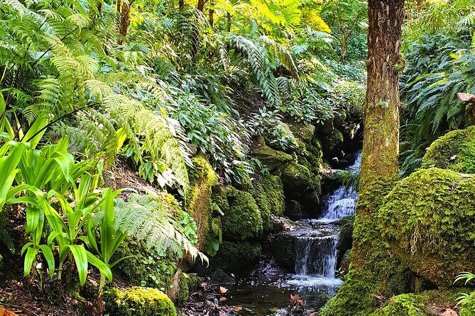 Private Full Day Tour of Sintra, Cascais and Estoril - The Experience from Past Travelers