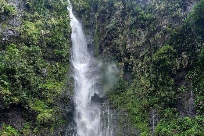 Private Full Day Tour of Tahiti - FAQs