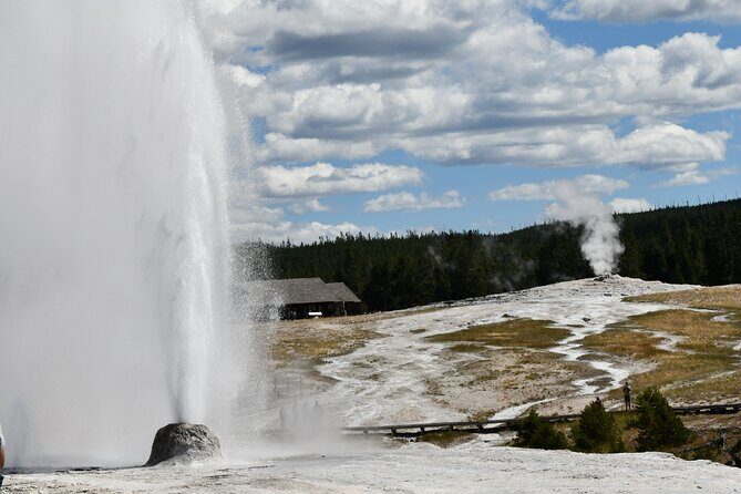 Private Full Day Tour of Yellowstone's Natural Wonders - Key Points