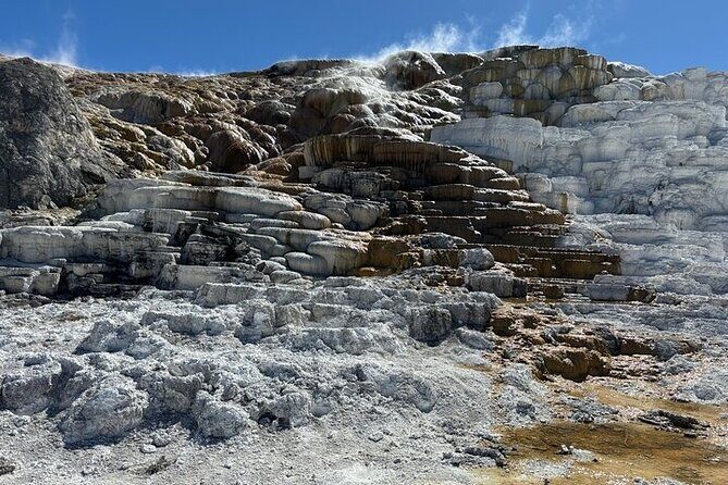 Private Full Day Tour of Yellowstone's Natural Wonders - A Journey Through Yellowstone: What You Can Expect