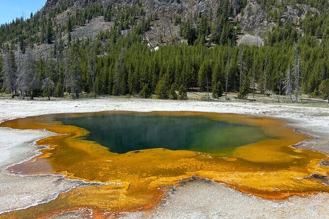 Private Full Day Tour of Yellowstone's Natural Wonders - Final Thoughts: Is It Right for You?