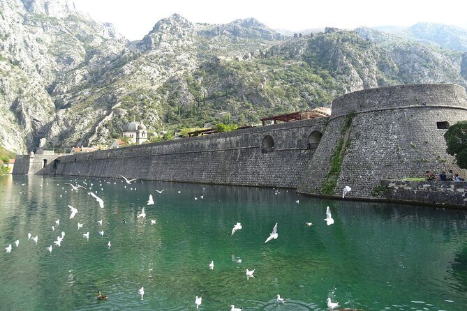 Private Full-Day Tour - Skadar Lake National Park, Saint Stefan and Kotor Tour - FAQ