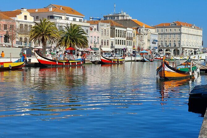 Private Full day Tour to Aveiro and Porto - An In-Depth Look at the Tour Itinerary