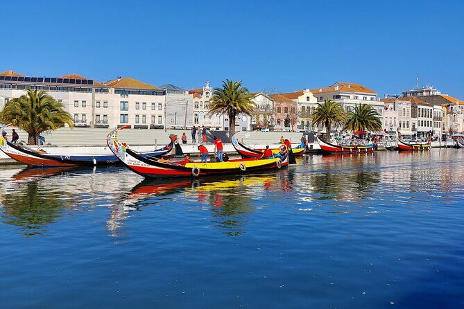 Private Full day Tour to Aveiro and Porto - Who is This Tour Best For?