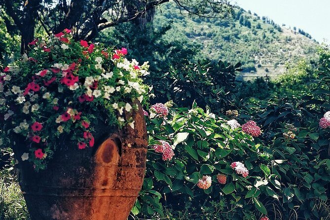 Private full day tour to Capri with grottos - Why Travelers Love This Experience