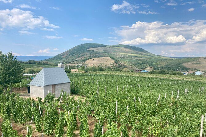 Private Full Day Tour to Eger - History, Culture and Wine - Final Thoughts