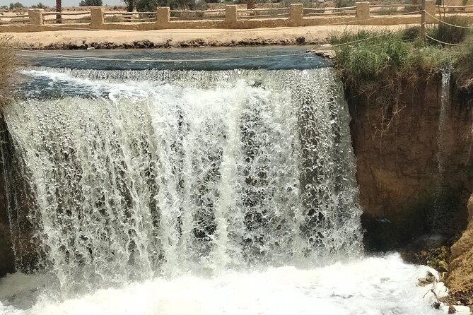 Private Full Day Tour to Fayoum Oasis with Transfer Included - A Closer Look at the Fayoum Oasis Full Day Tour