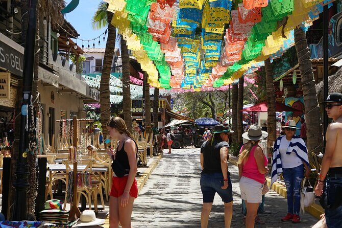 Private Full Day Tour to Sayulita - Key Points