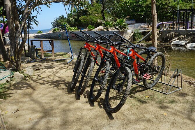 Private Full Day Tour to Sayulita - Frequently Asked Questions