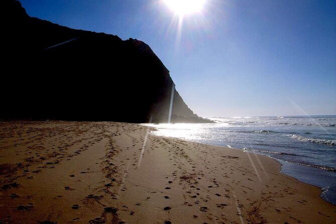 Private Full-Day Tour to Sintra and Cascais - The Itinerary in Detail