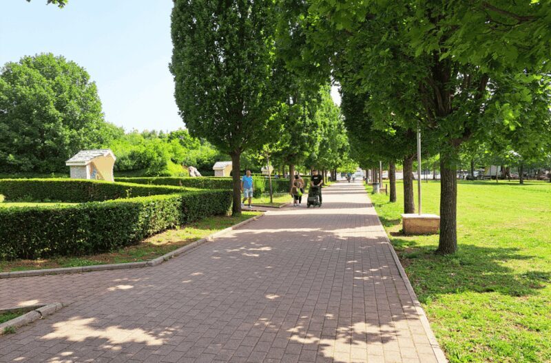 Private Full Day Trip Medjugorje from Dubrovnik - Pricing and Value