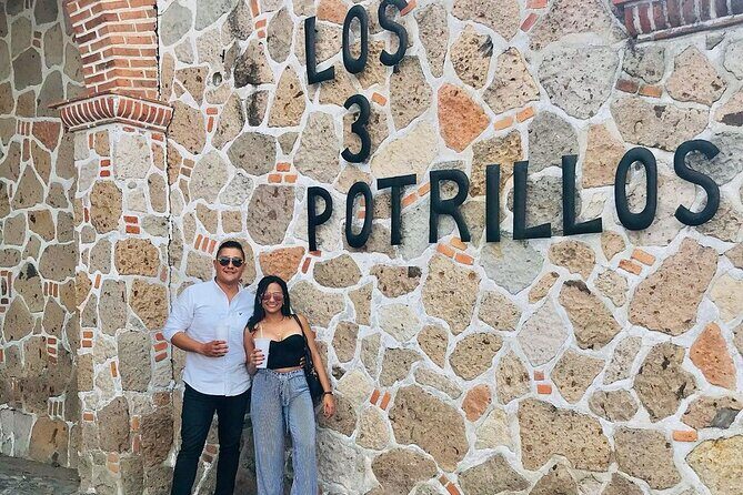 Private Full-Day Trip to Chapala and Ajijic from Guadalajara - Key Points