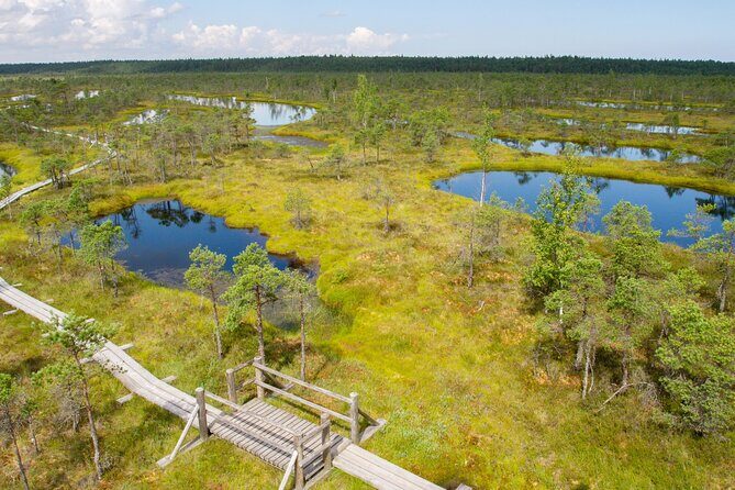 Private Full-Day Trip to Jurmala and Great Kemeri Bog Boardwalk - Final Thoughts