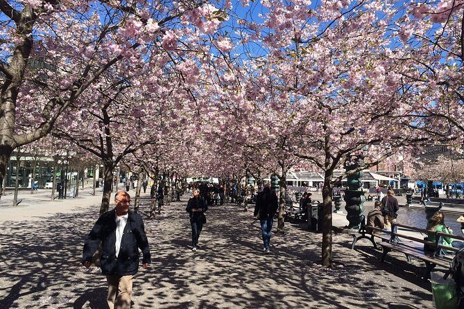 Private full day VIP city tour by limousine car in Stockholm - Who Should Consider This Tour?