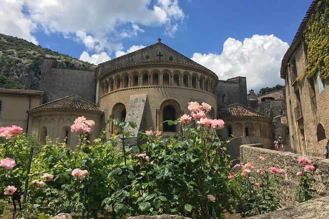 Private full day wine tour and Medieval Village from Montpellier - Key Points