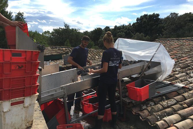 Private full day wine tour and Medieval Village from Montpellier - Frequently Asked Questions