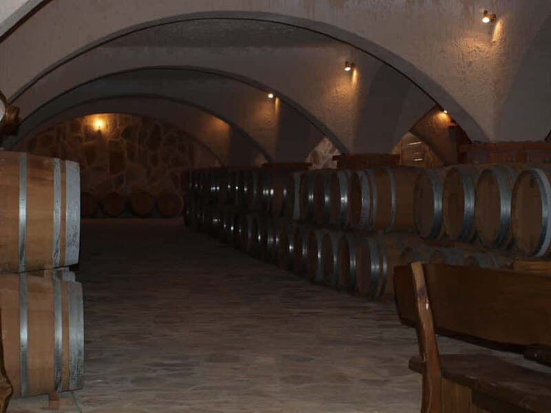 Private Full-Day Wine Tour from Dubrovnik to Peljesac - The Scenic Drive and Local Cuisine